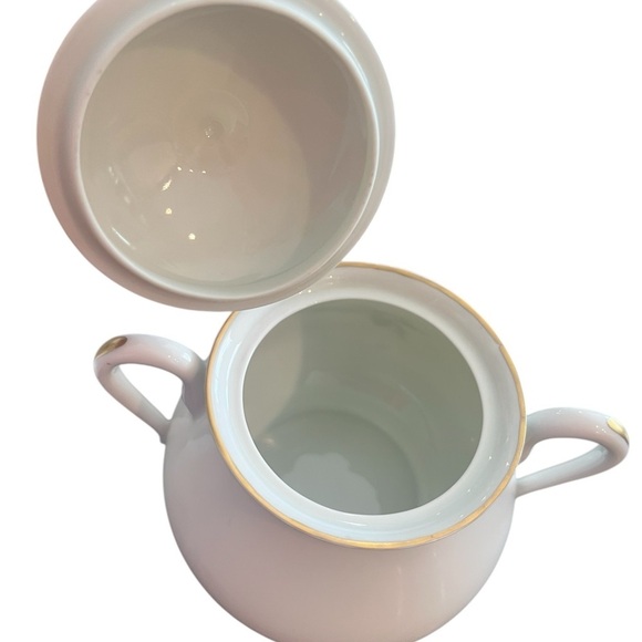 Vintage Large Limoges Rose Botanical Cream and Sugar Set - Picture 7 of 13